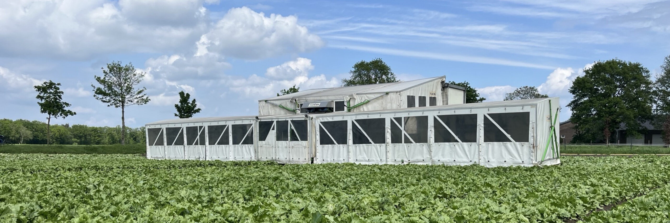Vacature Oogstmedewerker